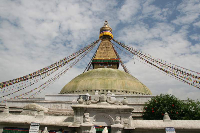 India & Nepal 2011 - 0195